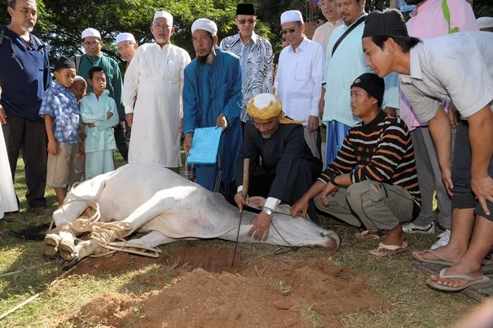 Dengan berqurban, maka kita berbagi kebahagiaan untuk semua orang