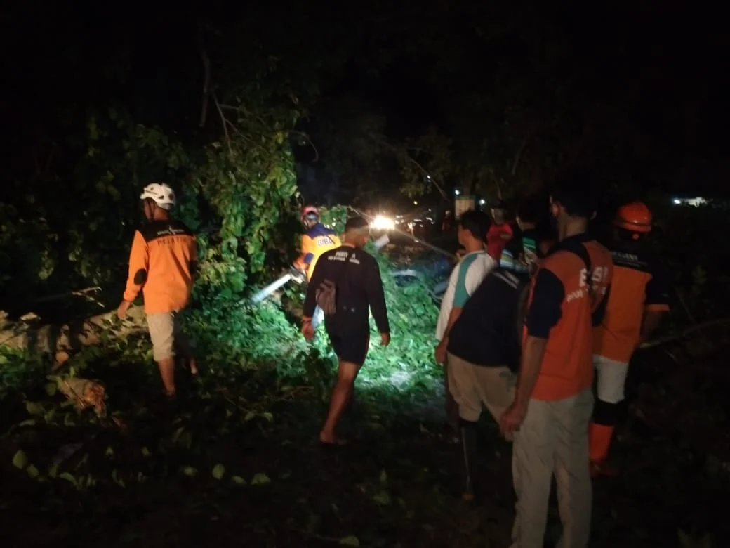 Tim MDMC bersama LAZISMU Nganjuk turun tangan untuk merespons pohon tumbang. Tampak mereka saling bergotong royong (WebP)