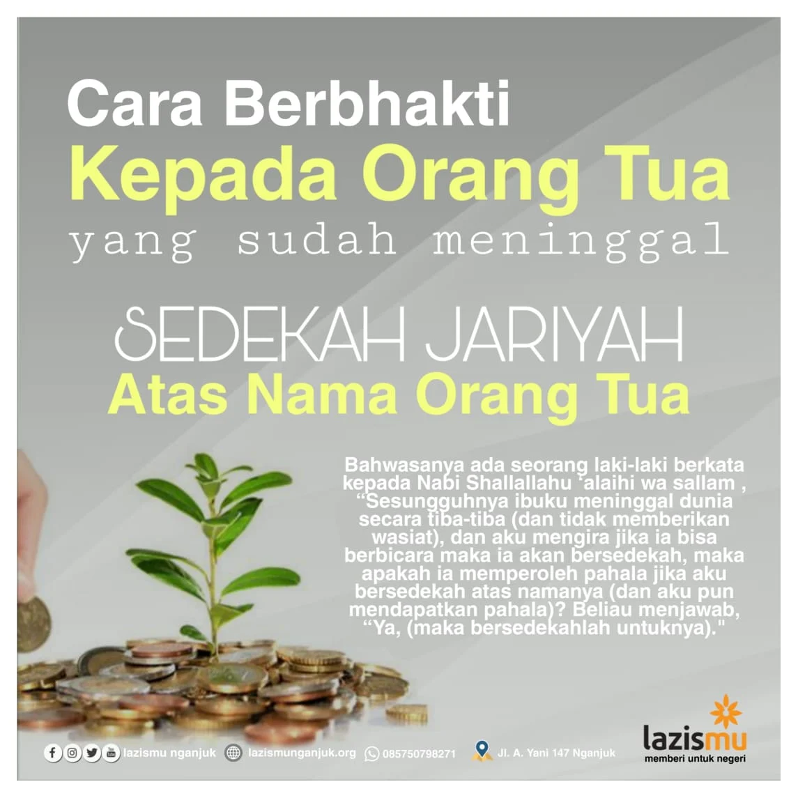 WhatsApp Image 2021-02-02 at 11.17.25