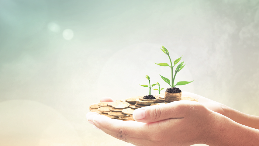 CERMIS (CERITA KAMIS)